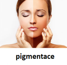 Pigmentace